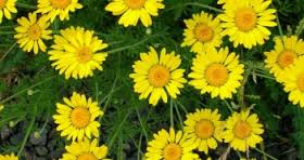 Bản tin đầu tư tài chính và thuế kỳ 15/11/2018